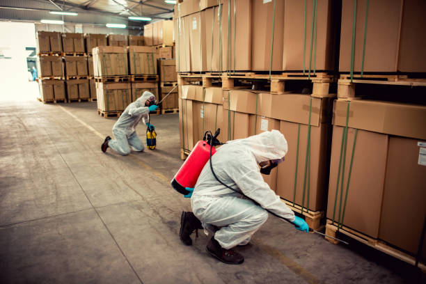 Best Wasp Removal Services  in Humboldt Hill, CA