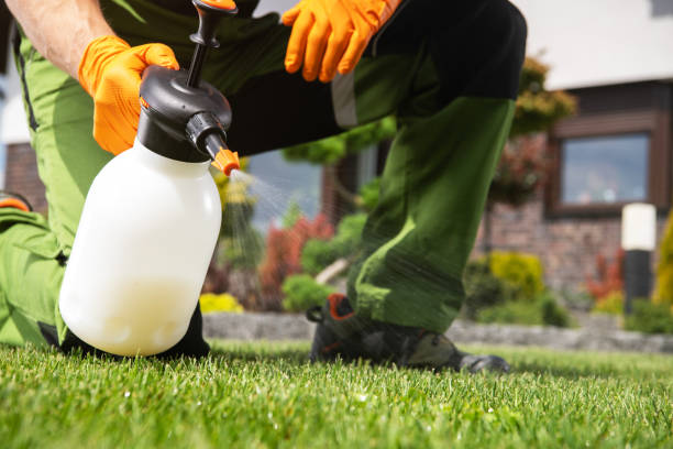 Best Local Pest Control Services  in Humboldt Hill, CA