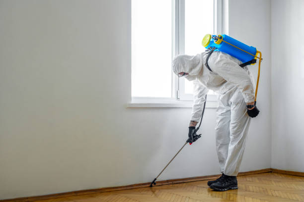 Best Best Pest Control Companies  in Humboldt Hill, CA
