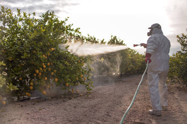 Best Best Pest Control Companies  in Humboldt Hill, CA