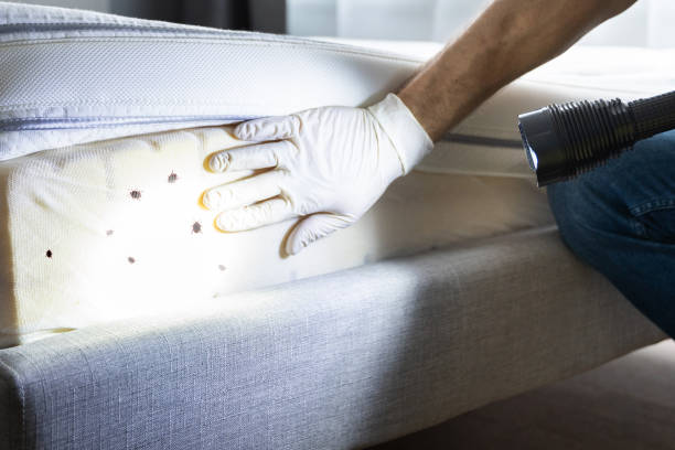 Best Commercial Pest Control Services  in Humboldt Hill, CA