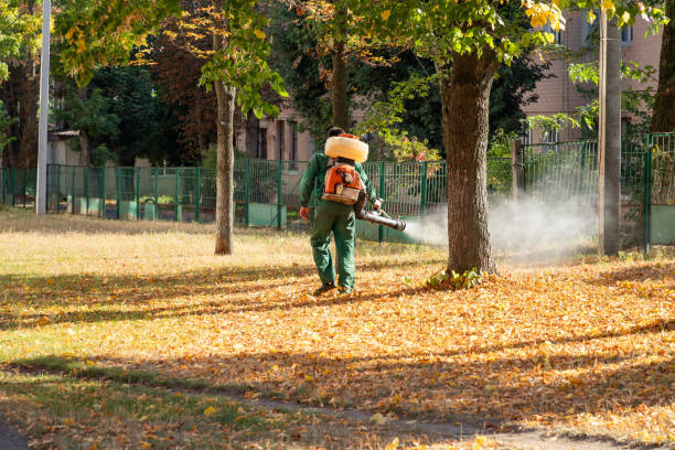Best Cockroach Control Services  in Humboldt Hill, CA