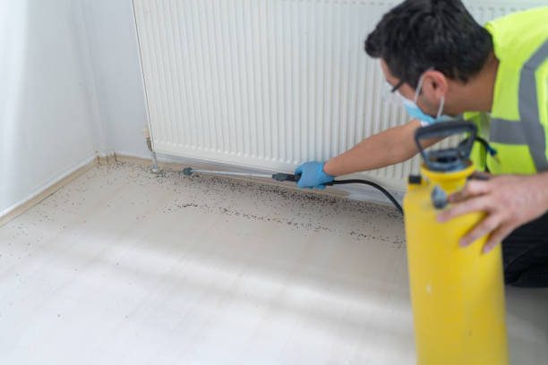 Pest Control for Restaurants in Humboldt Hill, CA