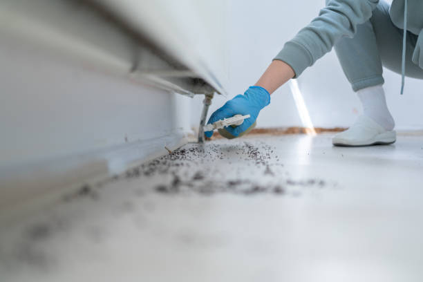 Best Pest Inspection Near Me  in Humboldt Hill, CA